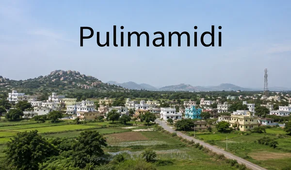 Featured Image of Pulimamidi
